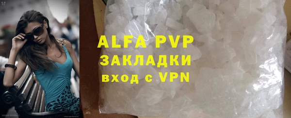 индика Белая Холуница