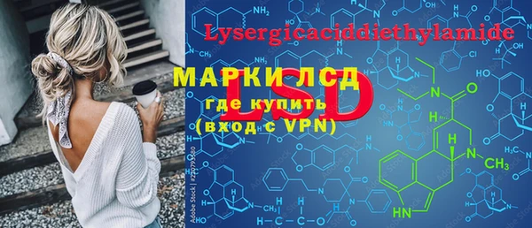 шишки Нязепетровск