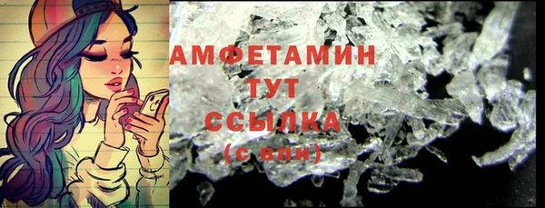 индика Белая Холуница